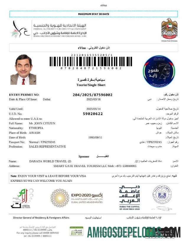 em branco Modelo de visto E dos Emirados Árabes Unidos em formatos Word e PDF, versão 5